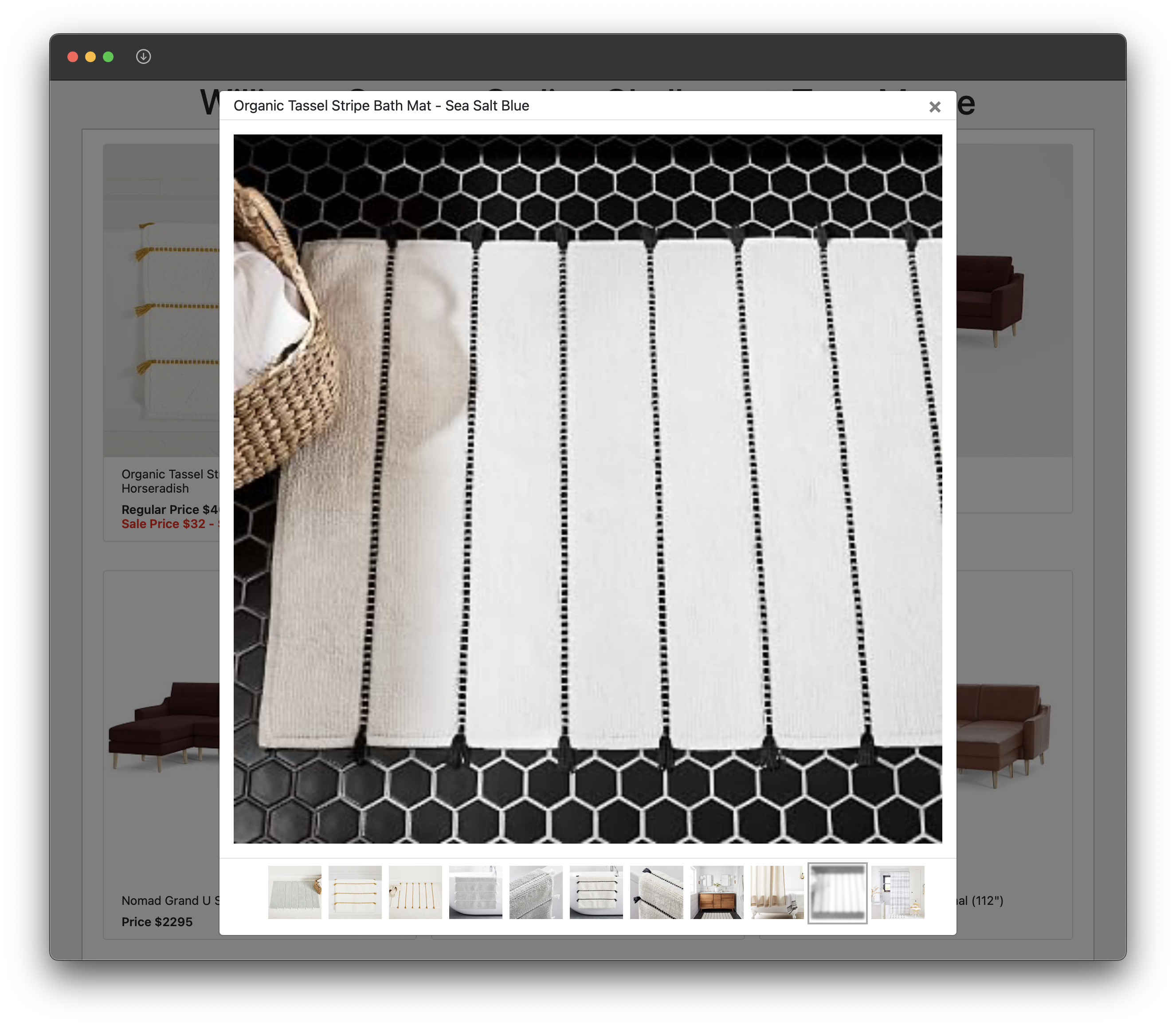 Williams Sonoma Coding Challenge screen shot by Terry Morse